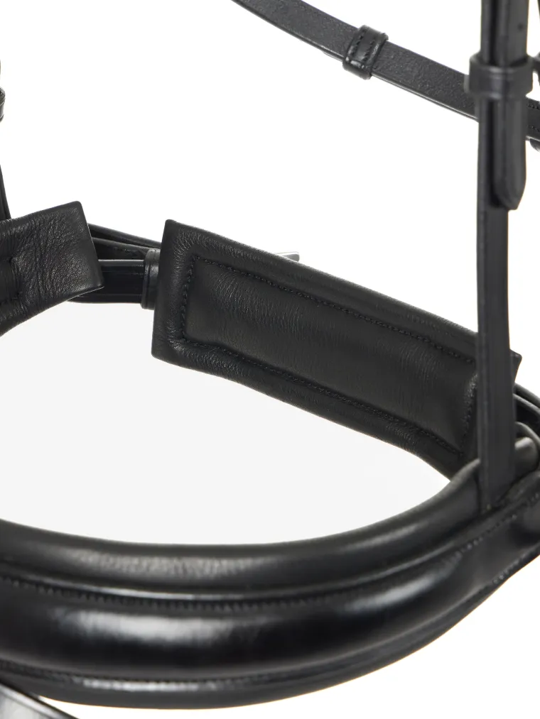 lemieux-kudos-dressage-flash-b-lKPtvYjG-4.webp Sale HORSE HEALTH TRADE LeMieux® Kudos Dressage Flash Bridle Black