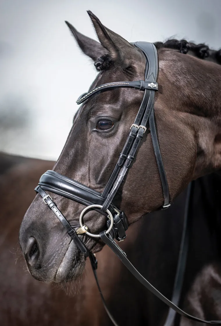 lemieux-kudos-dressage-flash-b-lKPtvYjG-5.webp Sale HORSE HEALTH TRADE LeMieux® Kudos Dressage Flash Bridle Black