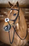 lemieux-kudos-figure-8-bridle-twNDNLdF-0.webp
