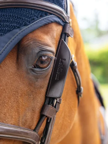 New HORSE HEALTH TRADE LeMieux® Leather Bridle Blinkers