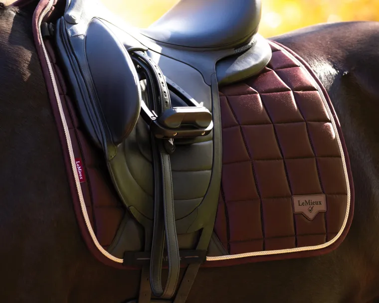 lemieux-loire-classic-dressage-TPsMSrrY-2.webp Outlet HORSE HEALTH TRADE LeMieux® Loire Classic Dressage Saddle Pad