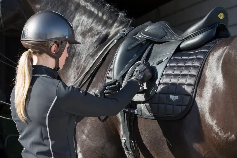 lemieux-loire-satin-classic-dr-QCpeyjQj-5.webp Hot HORSE HEALTH TRADE LeMieux® Loire Satin Classic Dressage Square