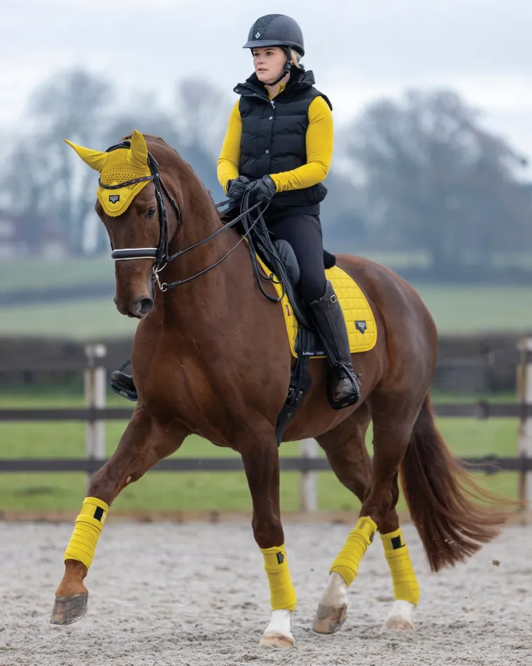 lemieux-loire-satin-polo-banda-hXHLXYjS-2.webp Clearance HORSE HEALTH TRADE LeMieux® Loire Satin Polo Bandages