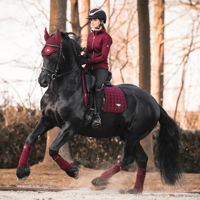 lemieux-loire-satin-polo-banda-hXHLXYjS-4.webp Clearance HORSE HEALTH TRADE LeMieux® Loire Satin Polo Bandages