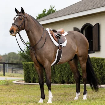 Online HORSE HEALTH TRADE LeMieux® Merino+ Hunter Saddle Pad White/White