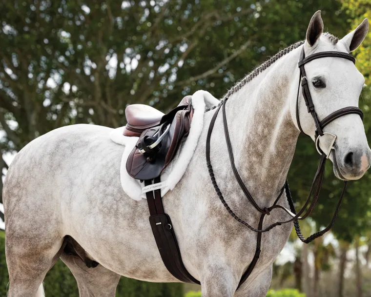 lemieux-merino-prosorb-hunter-rQLJFqdb-1.webp Fashion HORSE HEALTH TRADE LeMieux® Merino+ ProSorb Hunter Saddle Pad White/White