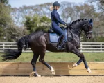 lemieux-ultra-mesh-dressage-pa-qDqaTghq-0.webp