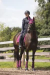 lemieuxsuede-dressage-square-p-mKWrmRfX-0.webp