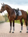 lemieuxsuede-dressage-square-p-mKWrmRfX-0.webp