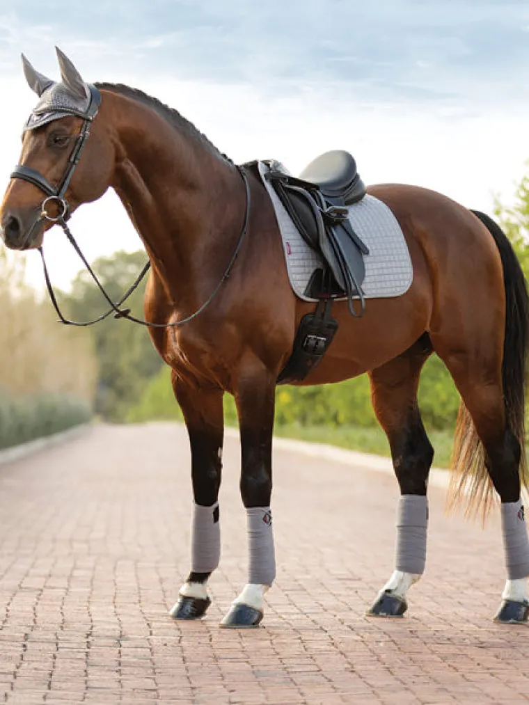 lemieuxsuede-dressage-square-p-mKWrmRfX-19.webp Clearance HORSE HEALTH TRADE LeMieux® Suede Dressage Square Pad