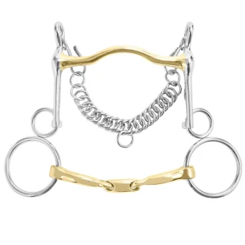 Online INT RIDING HELMET Long Shank Curb & Bradoon Set German Silver