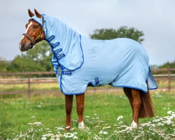Sale HORSEWARE ® Ireland Amigo® Ripstop Hoody Blanket Azure/Strong Blue/Silver