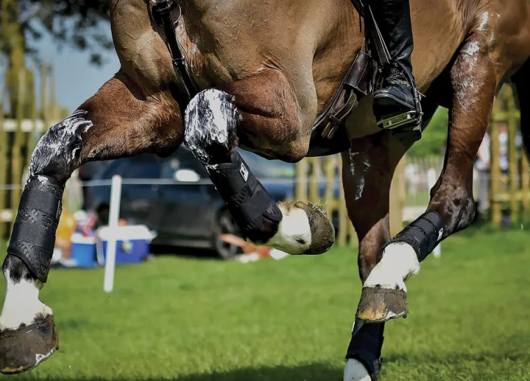 majyk-equipe-xc-elite-hind-boo-MltslmrX-2.webp Fashion MAJYK EQUIPE ® XC Elite Hind Boot With Arti-Lage™ Technology