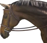 Hot INT RIDING HELMET Marcel Toulouse Platinum Liza/Camden Snaffle Hunter Bridle Chocolate