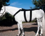 Best MACKINNON Ice Horse® Pony Back Blanket