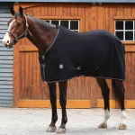 Online INTEX EQUESTRIAN Rider’s International™ Classic Cooler Black/Tan