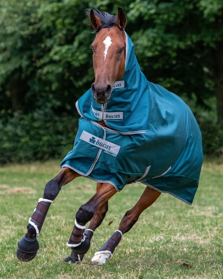 nGrtKzce_1.webp Discount TOKLAT ORIGINALS Bucas Atlantic Combi Neck Cover - 50 Grams