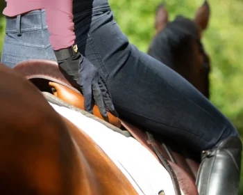 Fashion NOBLE EQUESTRIAN ™ Ladies’ Better Than Denim Knee-Patch Breech Dark Navy