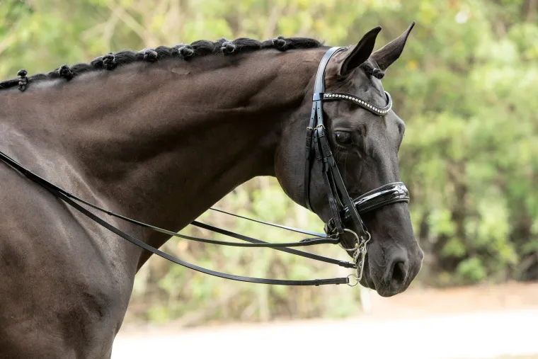 otto-schumacher-patent-venedig-NwhMrVGh-1.webp Discount OTTO SCHUMACHER Patent Venedig Double Bridle
