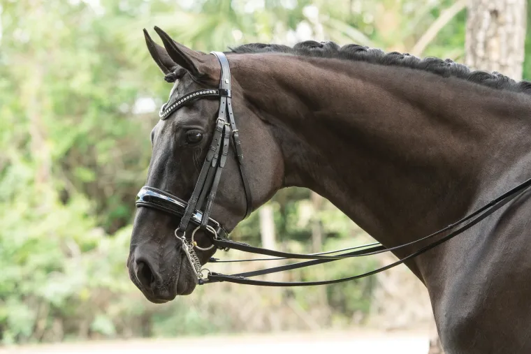 otto-schumacher-patent-venedig-NwhMrVGh-2.webp Discount OTTO SCHUMACHER Patent Venedig Double Bridle