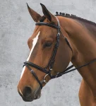 ovation-comfort-crown-dressage-QxyipqGK-0.webp