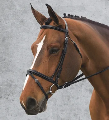 Sale ERS Ovation® Comfort Crown Dressage Bridle Black