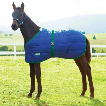 Clearance WEATHERBEETA ® Growing Foal 420D Standard Neck Medium-Weight Blanket Navy/Hunter