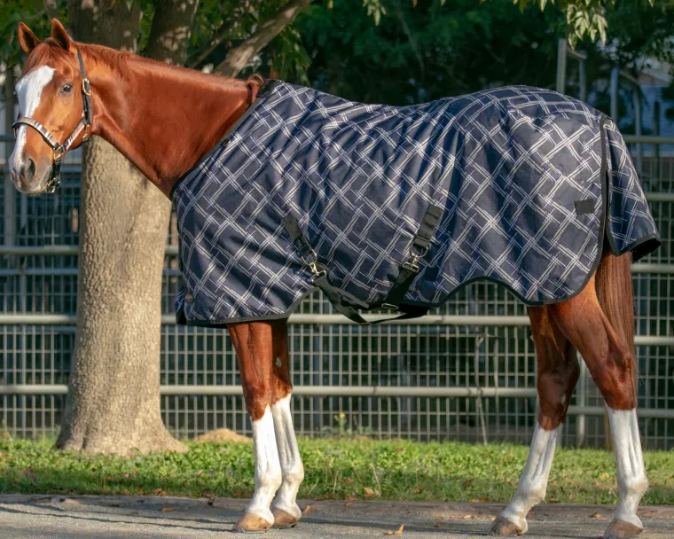 pVJhfNCH_0.webp Outlet KENSINGTON ™ Pony Signature Heavyweight Turnout Blanket