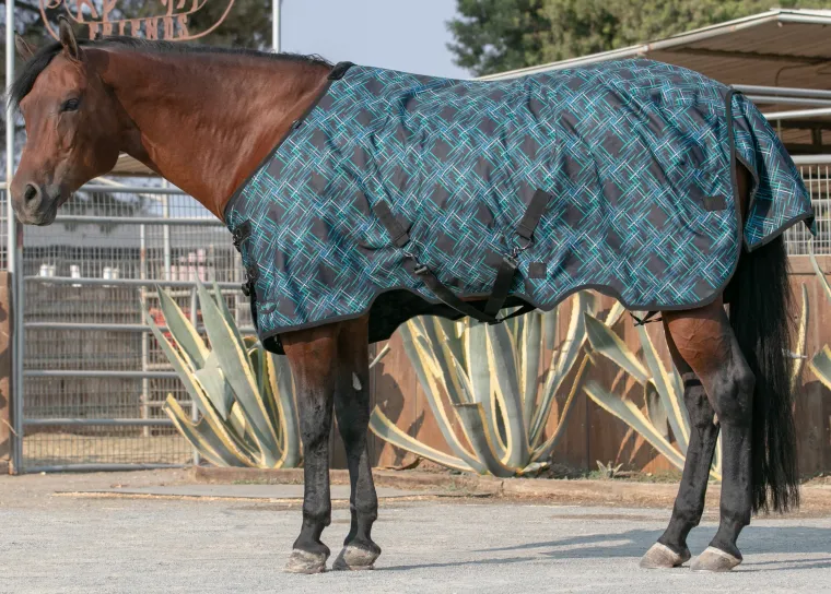 pVJhfNCH_3.webp Outlet KENSINGTON ™ Pony Signature Heavyweight Turnout Blanket