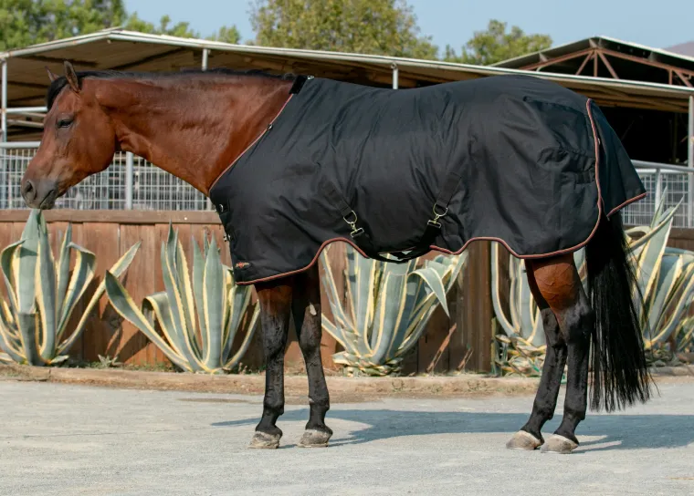 pVJhfNCH_4.webp Outlet KENSINGTON ™ Pony Signature Heavyweight Turnout Blanket
