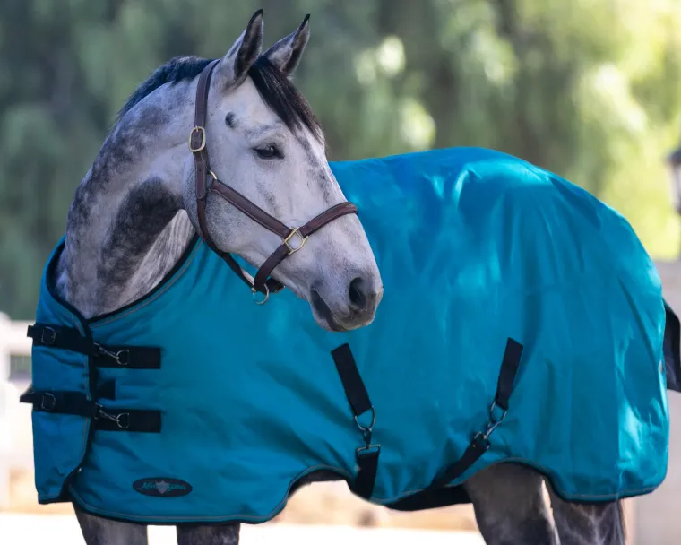 pVJhfNCH_5.webp Outlet KENSINGTON ™ Pony Signature Heavyweight Turnout Blanket