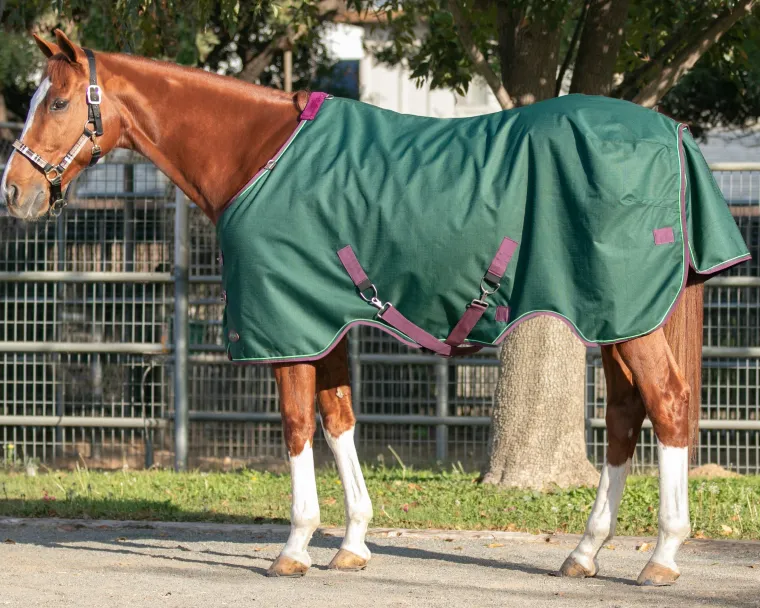 pVJhfNCH_6.webp Outlet KENSINGTON ™ Pony Signature Heavyweight Turnout Blanket