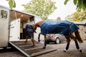 New HORSEWARE ® Ireland Rambo® Travel Series Sheet