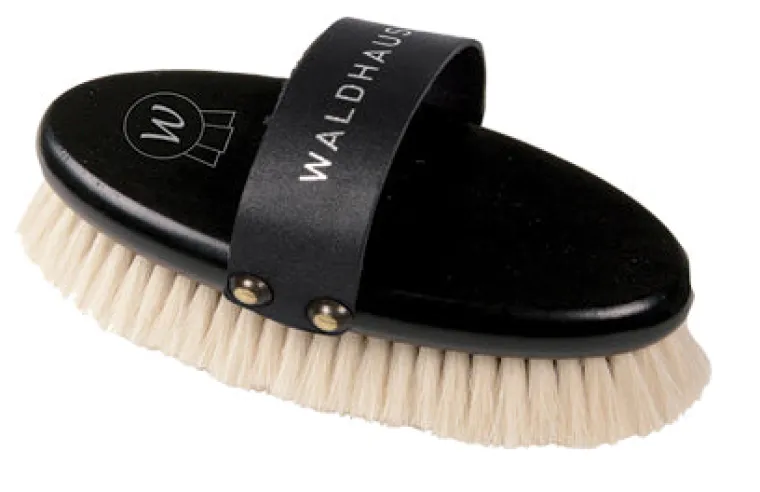pZYGiwoJ_0.webp Outlet WALDHAUSEN Exklusiv Face Brush