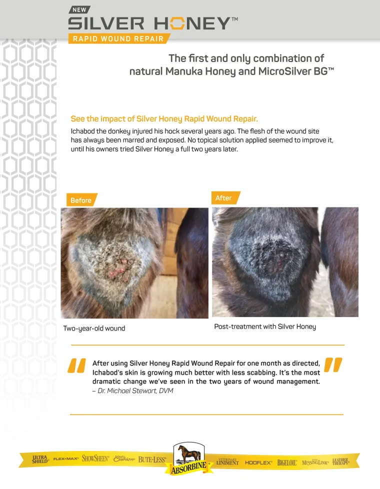 pajinVka_1.webp Clearance ANIMAL HEALTH INT Absorbine® Silver Honey® Rapid Wound Repair Ointment