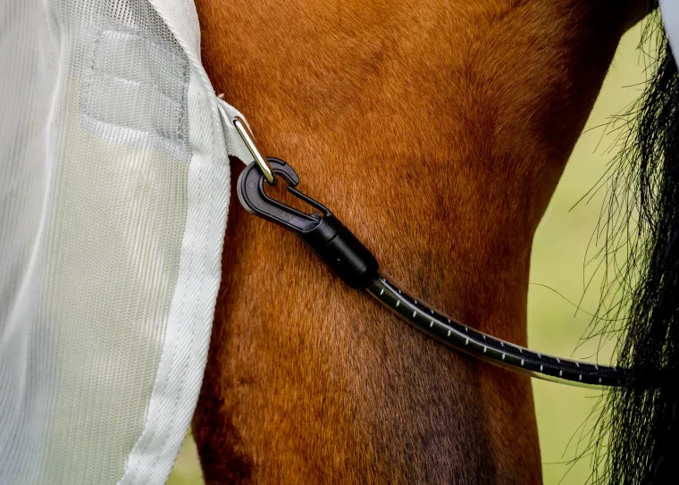 pcRXjsci_3.webp Outlet HORSEWARE ® Ireland Amigo® AmECO Combi (No Fill) Teal/Grey