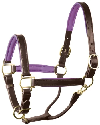 Fashion PERRIS LEATHER Perri’s® 1" Padded Leather Halter