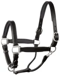 perris-1-padded-leather-halter-cicusNzb-0.webp