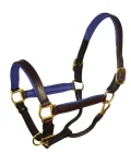 perris-1-padded-leather-halter-cicusNzb-0.webp