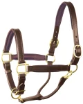 perris-1-padded-leather-halter-cicusNzb-0.webp