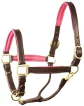 perris-1-padded-leather-halter-cicusNzb-0.webp