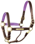 Discount PERRIS LEATHER Perri’s® 1" Padded Leather Halter With Nameplate