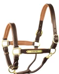 perris-1-padded-leather-halter-fwWWkrqt-0.webp