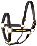perris-1-padded-leather-halter-fwWWkrqt-0.webp