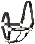 perris-1-padded-leather-halter-fwWWkrqt-0.webp
