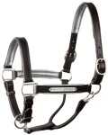 perris-1-padded-leather-halter-fwWWkrqt-0.webp