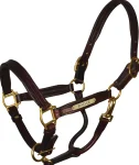 perris-1-padded-leather-halter-fwWWkrqt-0.webp