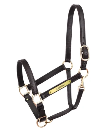 Best PERRIS LEATHER Perri’s® Draft Leather Turnout Halter