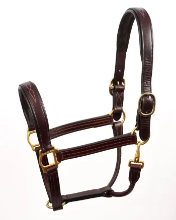 Clearance PERRIS LEATHER Perri’s® Fancy-Stitched Padded Leather Halter Havana