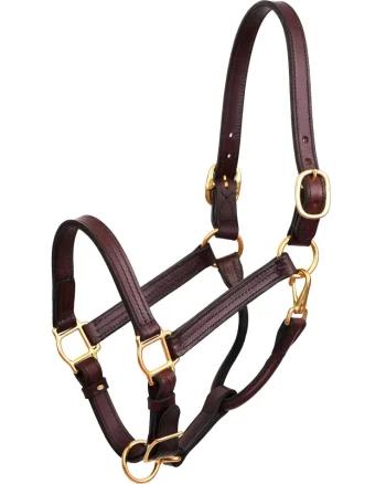 Clearance PERRIS LEATHER Perri’s® Horse Professional Show Halter